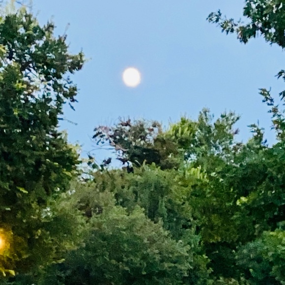 Meet your Posher, Swathi - Picture 1 of 1